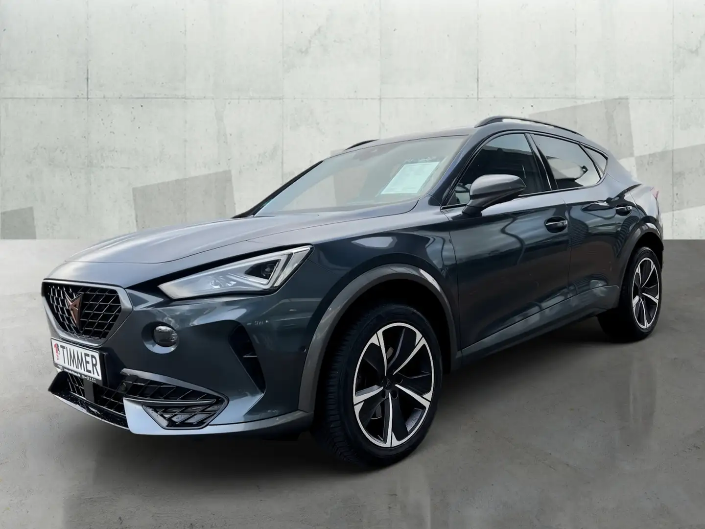 CUPRA Formentor 2.0 TSI 140KW (190PS) 4Drive *NAVI*AHK*PANO*ACC*R Grau - 2