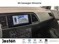 CUPRA Ateca 2.0 TSI DSG 4Drive CUPRA Plus Beats 19 Zoll Gris - thumbnail 15