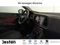 CUPRA Ateca 2.0 TSI DSG 4Drive CUPRA Plus Beats 19 Zoll Gris - thumbnail 19
