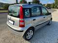 Fiat Panda Panda 1.2 dualogic Grigio - thumbnail 3