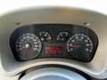 Fiat Panda Panda 1.2 dualogic Grigio - thumbnail 11