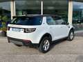 Land Rover Discovery Sport 2.0 td4 HSE Luxury awd 150cv auto 4x4 Bianco - thumbnail 2