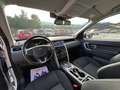 Land Rover Discovery Sport 2.0 td4 HSE Luxury awd 150cv auto 4x4 Bianco - thumbnail 6