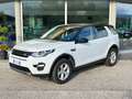 Land Rover Discovery Sport 2.0 td4 HSE Luxury awd 150cv auto 4x4 Bianco - thumbnail 1