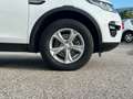 Land Rover Discovery Sport 2.0 td4 HSE Luxury awd 150cv auto 4x4 Bianco - thumbnail 15