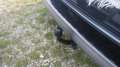 Opel Zafira Life 2,0 CDTI S&S Edition M Aut. CROSSCAMP Grijs - thumbnail 43