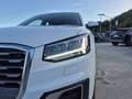 Audi Q2 35 2.0 tdi Admired quattro 150cv s-tronic my20 Blanc - thumbnail 15