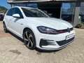 Volkswagen Golf GTI 5p 2.0 tsi Performance 245cv MANUALE!! - thumbnail 4