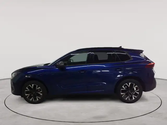 Cupra Terramar view 6