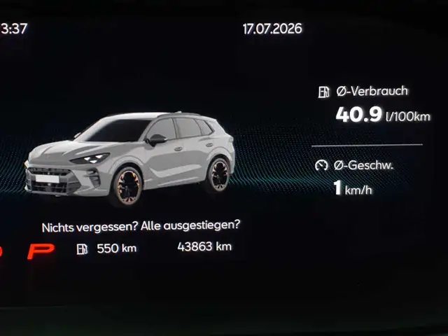 Cupra Terramar view 11