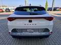 CUPRA Formentor 1.5 TSI DSG Weiß - thumbnail 9