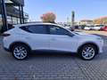 CUPRA Formentor 1.5 TSI DSG Weiß - thumbnail 6