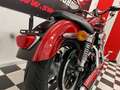 Harley-Davidson XL 1200 C Sportster Custom*2Tone* Rosso - thumbnail 14