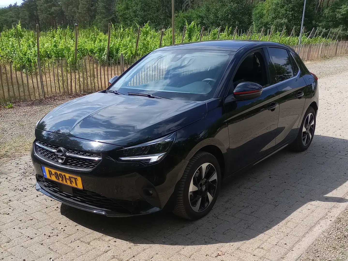 Opel Corsa-e Elegance 50 kWh + Panoramadak!! Zwart - 1