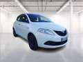 Lancia Ypsilon 1.0 firefly hybrid Silver s&s 70cv Blanc - thumbnail 1