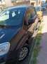 Fiat Panda 1.0 firefly hybrid City Life s&s 70cv 5p.ti - thumbnail 7