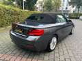 BMW 218 Baureihe 2 Cabrio 218 d M Sport Grau - thumbnail 10