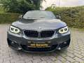 BMW 218 Baureihe 2 Cabrio 218 d M Sport Grau - thumbnail 6