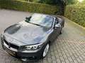 BMW 218 Baureihe 2 Cabrio 218 d M Sport Grau - thumbnail 4