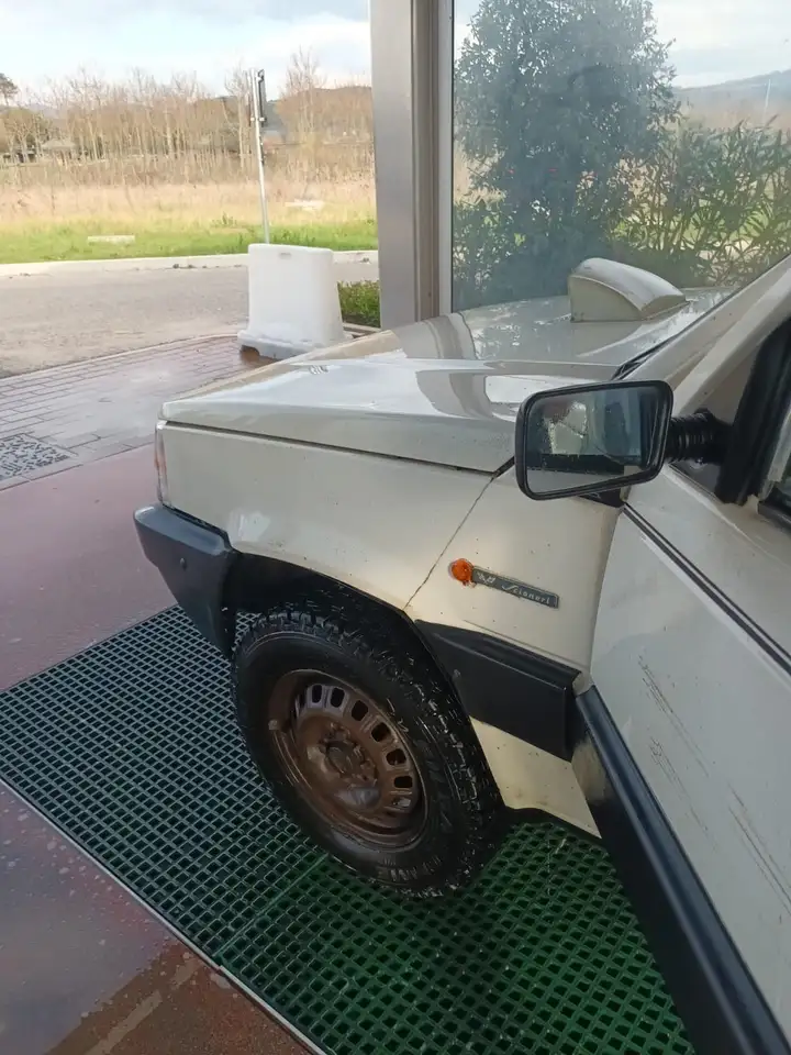 Fiat Panda 1.0 4x4 my86, foto 2