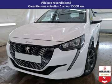 208 ELECTRIQUE 50 KWH 136 ACTIVE R 2PL