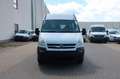 Opel Movano Kasten/Kombi L2H2 HKb 2,8t 1.Hand Weiß - thumbnail 8