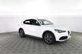 Alfa Romeo Stelvio 2.2 Turbodiesel 210 CV AT8 Q4 Ti Bianco - thumbnail 2