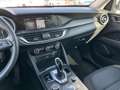 Alfa Romeo Stelvio 2.2 TDI Business RWD 160CV AT8 - AUTOCARRO N1 Argento - thumbnail 12