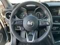 Alfa Romeo Stelvio 2.2 TDI Business RWD 160CV AT8 - AUTOCARRO N1 Argento - thumbnail 10