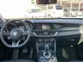 Alfa Romeo Stelvio 2.2 TDI Business RWD 160CV AT8 - AUTOCARRO N1 Argento - thumbnail 9