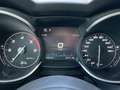 Alfa Romeo Stelvio 2.2 TDI Business RWD 160CV AT8 - AUTOCARRO N1 Argento - thumbnail 11
