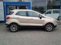 Ford EcoSport 1,0 EcoBoost Titanium Beige - thumbnail 8