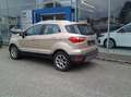 Ford EcoSport 1,0 EcoBoost Titanium Beige - thumbnail 4
