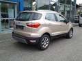 Ford EcoSport 1,0 EcoBoost Titanium Beige - thumbnail 9