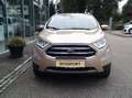 Ford EcoSport 1,0 EcoBoost Titanium Beige - thumbnail 2