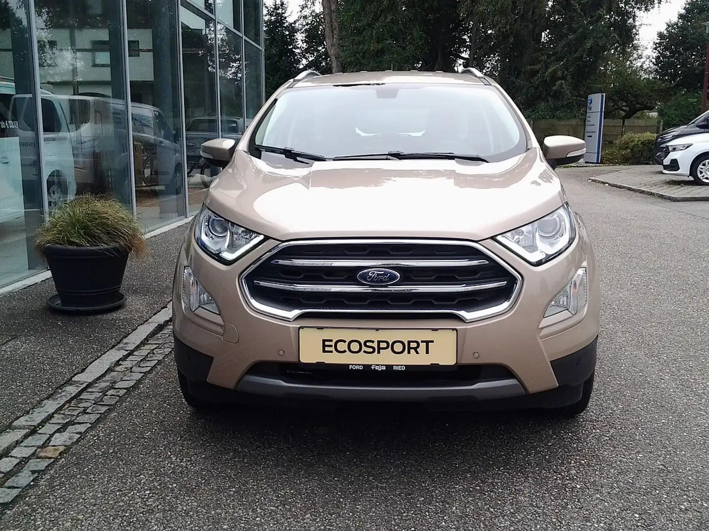 Ford EcoSport 1,0 EcoBoost Titanium Beige - 2