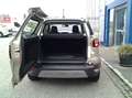 Ford EcoSport 1,0 EcoBoost Titanium Beige - thumbnail 6