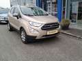 Ford EcoSport 1,0 EcoBoost Titanium Beige - thumbnail 7