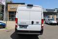 Fiat Ducato Maxi L4H2 140 10Zoll Navi Klimaautomatik... Weiß - thumbnail 7