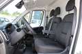 Fiat Ducato Maxi L4H2 140 10Zoll Navi Klimaautomatik... Weiß - thumbnail 9