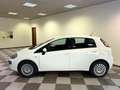 Fiat Punto Evo CINGHIA NUOVA Punto Evo 5p 1.4 Dynamic s Bianco - thumbnail 4