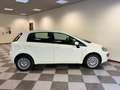 Fiat Punto Evo CINGHIA NUOVA Punto Evo 5p 1.4 Dynamic s Bianco - thumbnail 5