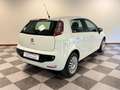 Fiat Punto Evo CINGHIA NUOVA Punto Evo 5p 1.4 Dynamic s Bianco - thumbnail 2