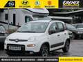Fiat Panda Panda 1.0 Mild Hybrid Klima/eFH./NSW Blanc - thumbnail 1