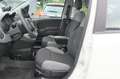 Fiat Panda Panda 1.0 Mild Hybrid Klima/eFH./NSW Blanc - thumbnail 7