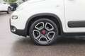 Fiat Panda Panda 1.0 Mild Hybrid Klima/eFH./NSW Blanc - thumbnail 3