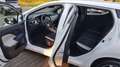 Nissan Micra N-WAY Klima Sitzh K -Verfügbar nach Bestellung- Weiß - thumbnail 9