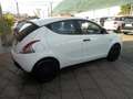 Lancia Ypsilon Ypsilon 1.0 firefly hybrid Bianco - thumbnail 5