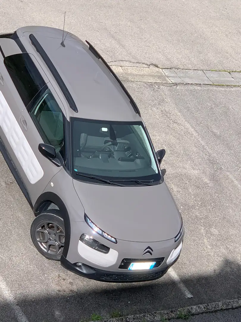 Citroen C4 Cactus Shine Beige - 1