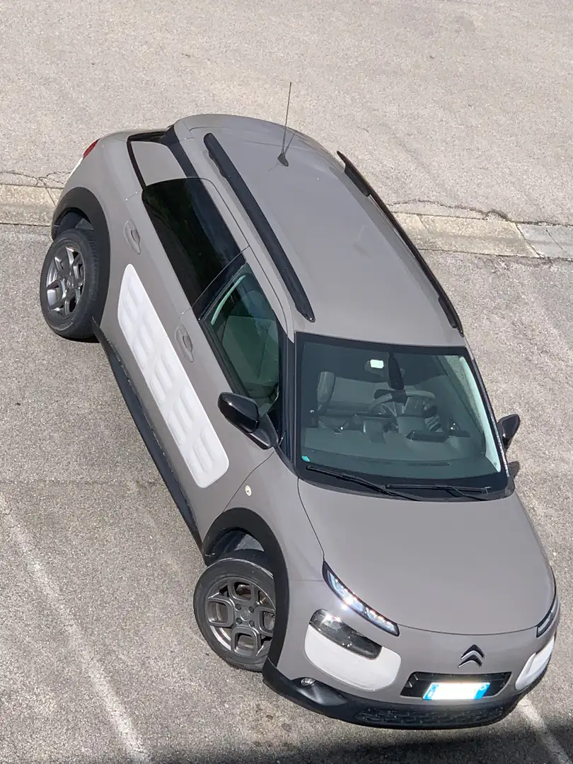 Citroen C4 Cactus Shine Beige - 2